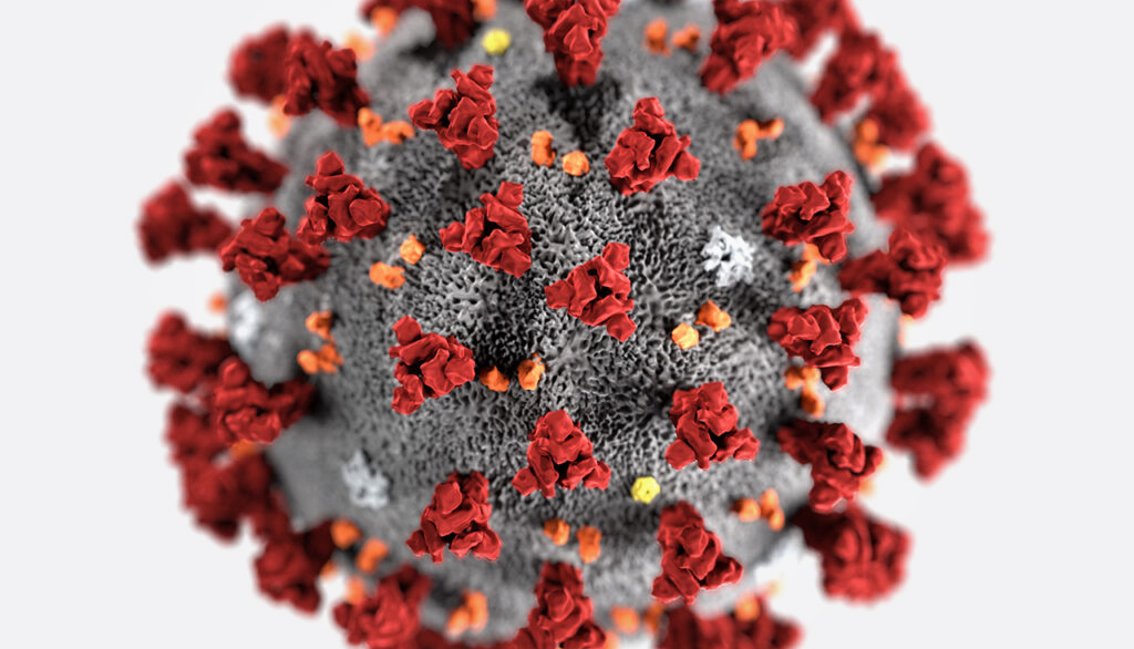 COVID-19 coronavirus protein spike